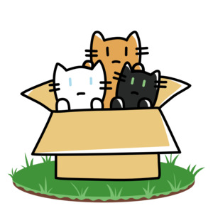 Life Of Cats: Cat Trio