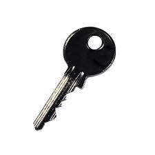 Products: ALKO Blank Key for Security Device