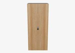 2-Door Tall Storage Cabinet - Ultimate Building Supplies