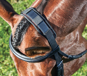 Products: Weatherbeetaセラピーテック・ポールパッド - 馬具・乗馬用品のサジタリアス