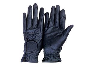 Products: Dublinライディンウォッシュ・グローブ - 馬具・乗馬用品のサジタリアス