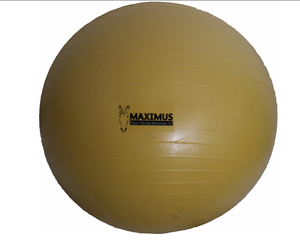 Products: Maximus馬用おもちゃボール - 馬具・乗馬用品のサジタリアス