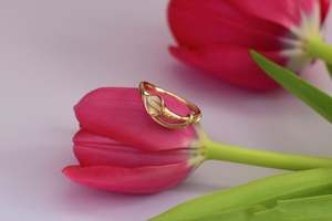 Botanical: Entwined Lily Ring - Gold