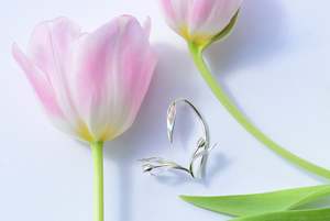 Antheia Tulip Ear Cuff