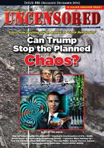 Products: Issue 46 Digital – Planned Chaos