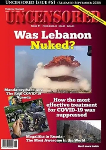 Issue 61 Digital – Lebanon Explosion