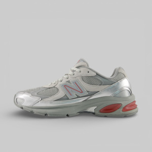 2010 - Metallic Silver