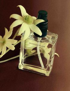 Bruxa: Lubrication of Oil