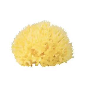 SIMPLY ESSENTIALS 20-2004K Natural Sea Sponge