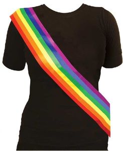 Fancy Dress 1: Rainbow Pride Sash