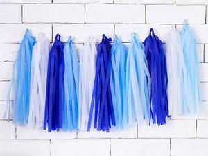 Baby Shower Tassels: Tassels - Pastel Blues