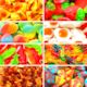 Gummies & Jellies Range 1kg