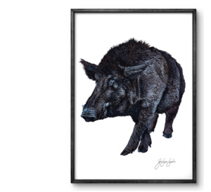 Wild Boar Watercolour Print - Unjustified Risk