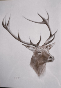 Colour Pencil Red Stag - Unjustified Risk