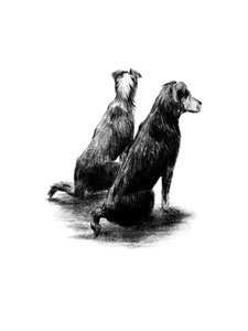 Products: Huntaways Fine Art Print - Unjustified Risk