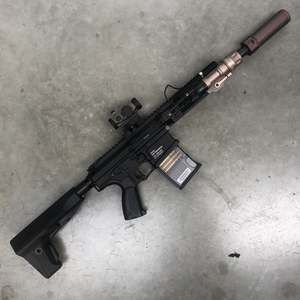 Custom Build G&G TR16 SBR 308 AEG