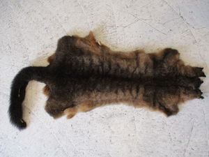 Miscellaneous Fur: Souvenir Possum Fur Skin Possum Fur NZ - Basically Bush