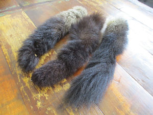 Possum Fur Tails Possum Fur NZ - Basically Bush