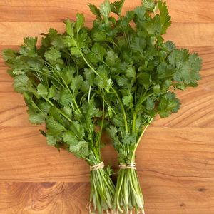 Whats In Season 1: Coriander Punnet (SF)