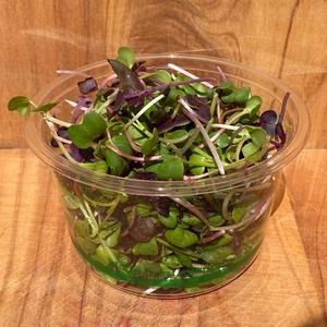 Whats In Season 1: Microgreens