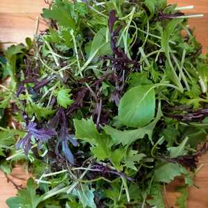 Whats In Season 1: Mesclun Mix 120g Bag (SF)