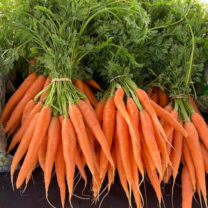 Whats In Season 1: Carrot Bunches