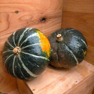 Squash Buttercup Piece