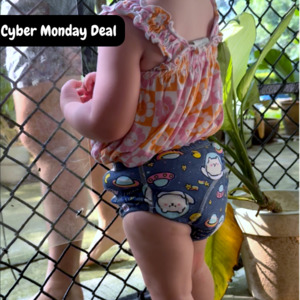 Potty Training Underwear