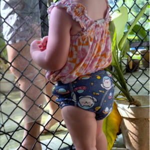 Potty Training Underwear