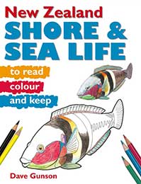 Products: New Zealand Shore & Sea Life to Read, Colour & Keep - Upstart Press
