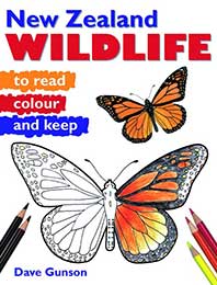 Products: New Zealand Wildlife to Read, Colour and Keep - Upstart Press