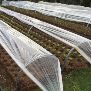 Hoop Cloche Garden System