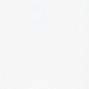 Focus Roller Blind - SAMPLE