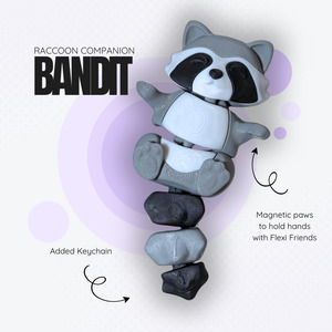 Products: Bandit the Raccoon Companion