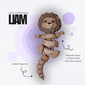 Products: Liam the Lion Companion