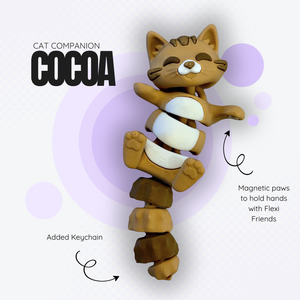 Cocoa the Brown Cat Companion