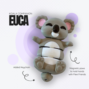 Euca the Koala Companion