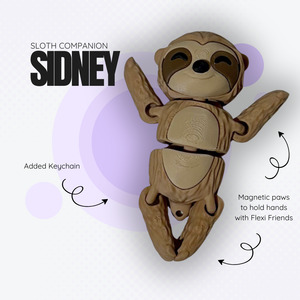 Sidney the Sloth Companion
