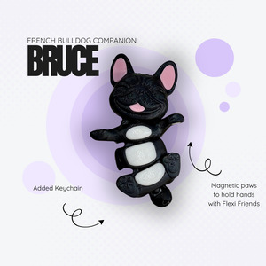 Bruce the Black French Bulldog Companion