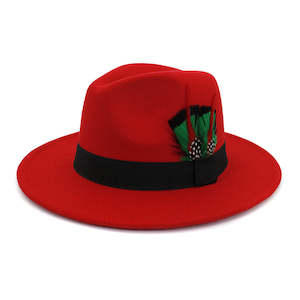 Caps: Men's And Women's New Woolen Broad-brimmed Hat Classic Top Fashion Feather Hat