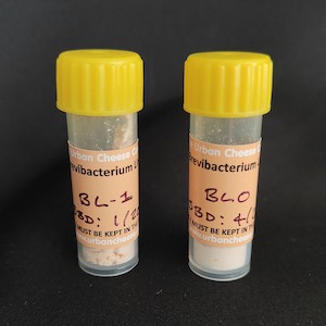 Products: Brevibacterium linens - The Urban Cheese Christchurch