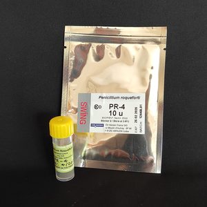 Blue Mold - Penicillium roqueforti - The Urban Cheese Christchurch