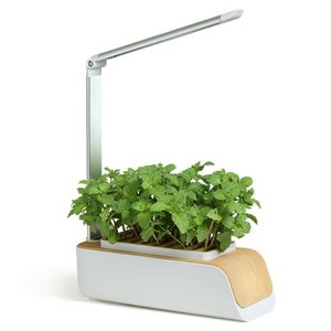 Outdoor Tech: Indoor Hydroponic Planter Kit with Grow Light