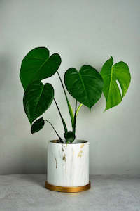 Plant Pot: Estelle Marble Planter