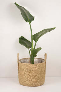 Plant Baskets: Luca Handmade Natural Woven Basket