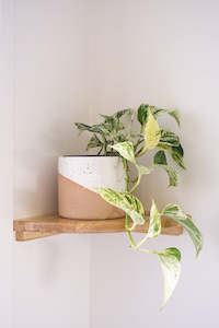 Plant Stands Shelves: Solid Wood Wall-Mounted Wooden Corner Shelf (Three Installation Options) - Natural