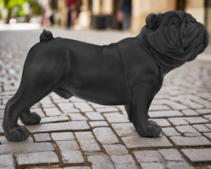 Outdoor Decor: Antique Bull dog Matt Black - 23CMH