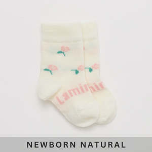 Lamington Merino Baby Crew Length Socks - Rosa