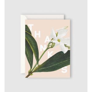 Cards: Father Rabbit Stationery - Jasmine Thanks Card
