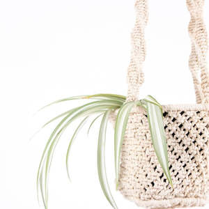 Cotton Basket Style Sika